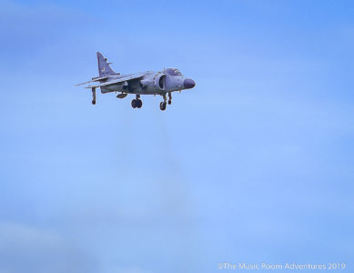 Harrier 3