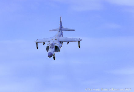 Harrier 4