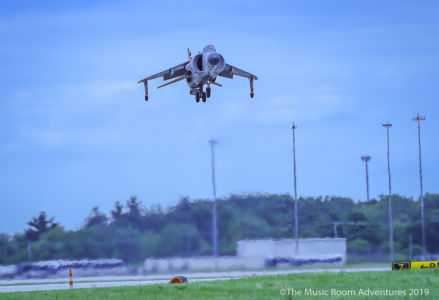 Harrier 5