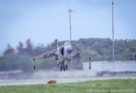 Harrier 6