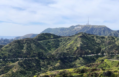Hollywood Sign 3