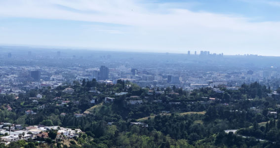 LA View