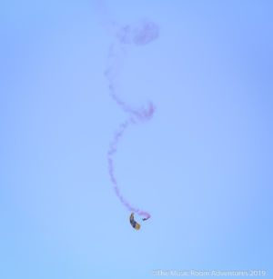 US Golden Knights 1